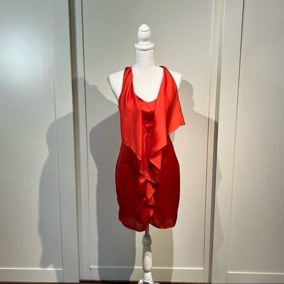 Theme red silk dress - Picture 3 of 6